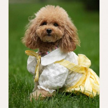 Платье ‘Belle’ Mimi.schell - Lemon, S (сп.25 см/ог28-32 см)