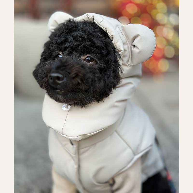 Комплект жилетка и шлем Puhla Mimi.schell - Beige, M(ДС: 30-35; ОГ: 32-44)