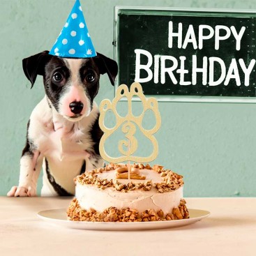 Топпер для декорирования капкейков MJCakedecor - Golden 3d Birthday Topper Three in Paw