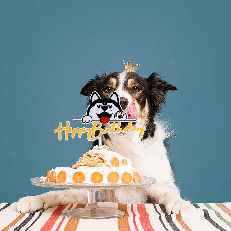 Топпер для собак для декорування капкейків MJCakedecor - Topper Puppy Pet Party