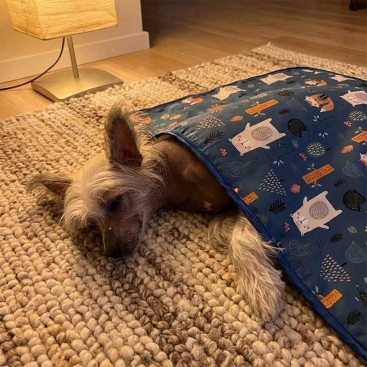 Двухстороннее водонепроницаемое одеяло с мехом Montmorency - Bears 100х77 см