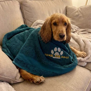 Рушник для собак з вишивкою Montmorency - Лапка (100х50 см)