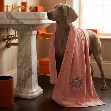 Рушник для собак з вишивкою Montmorency - Герб (130х70)