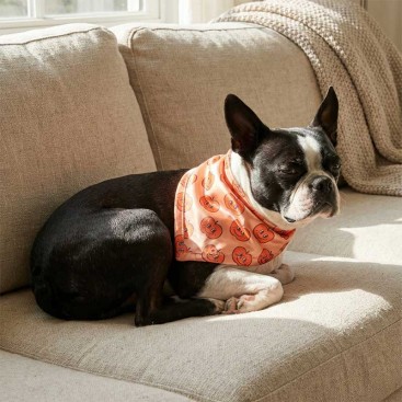 Бандана для собак Montmorency - Персики