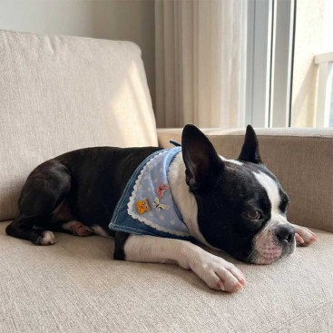 Бандана для собак Montmorency - Owl and Butterflies