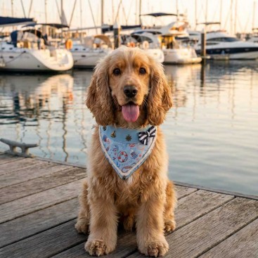 Бандана для собак Montmorency - Navy