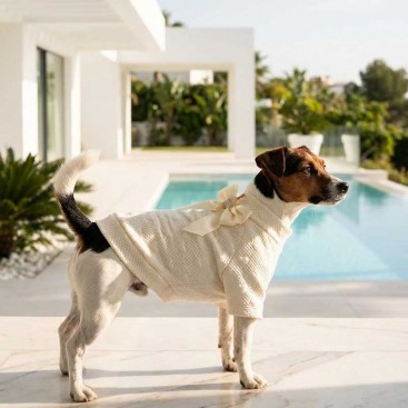 Свитшот для собак Montmorency - Champagne