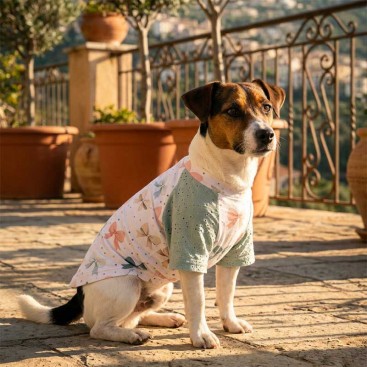 Футболка для собак Montmorency - Mint bows, M mini