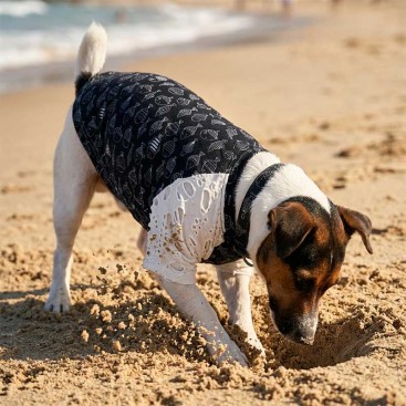 Футболка для собак Montmorency - Cheeky fish, M mini