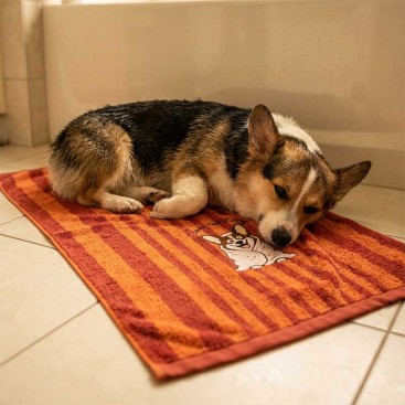 Полотенце для собак с вышивкой Montmorency - Striped Corgi Wrap (50x100 см)