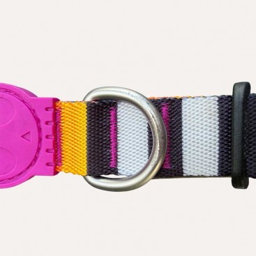 Нашийник для собак Zee.Dog - Prisma, L (УЦІНКА)
