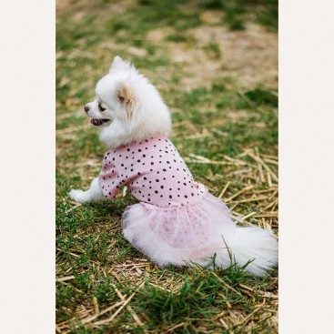 Футболка з фатиновою спідницею Montmorency - Rosetto 17 см