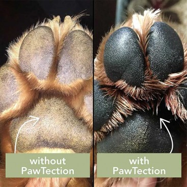 Бальзам для защиты лап Paw Tection Natural Dog Company 30 мл туба