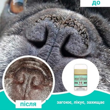 Бальзам для носика Natural Dog - Snout Soother Travel Stick, 59 мл