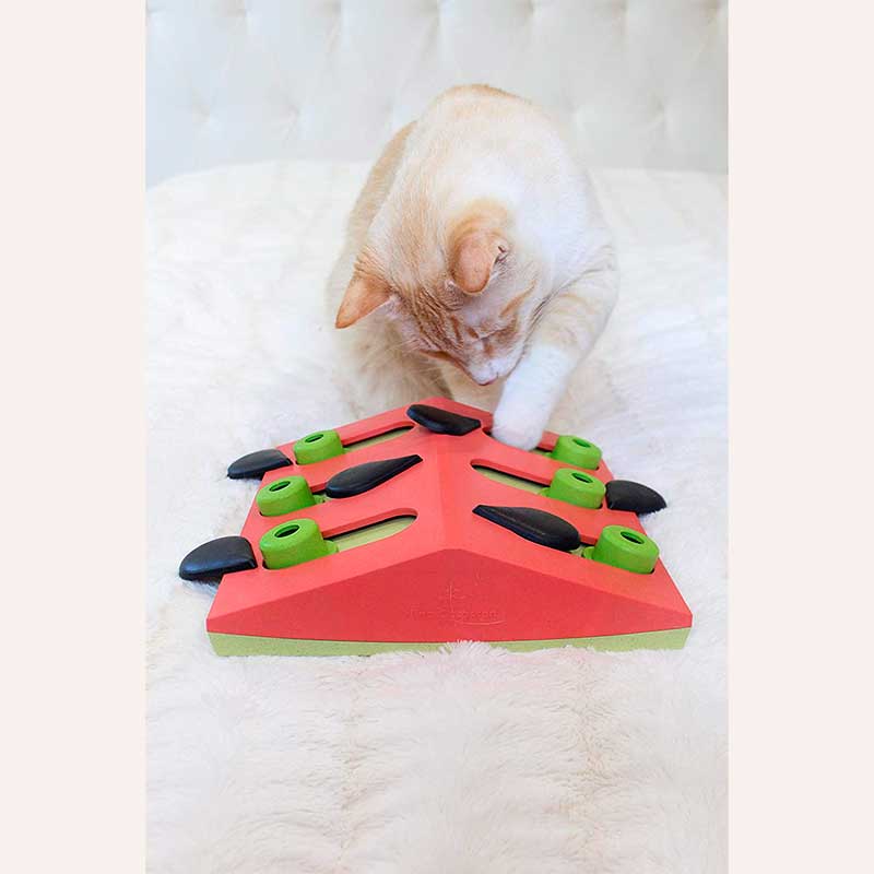 Игрушка-головоломка для котов с отверстиями для лакомств Nina Ottosson - Puzzle & Play Melon Madness
