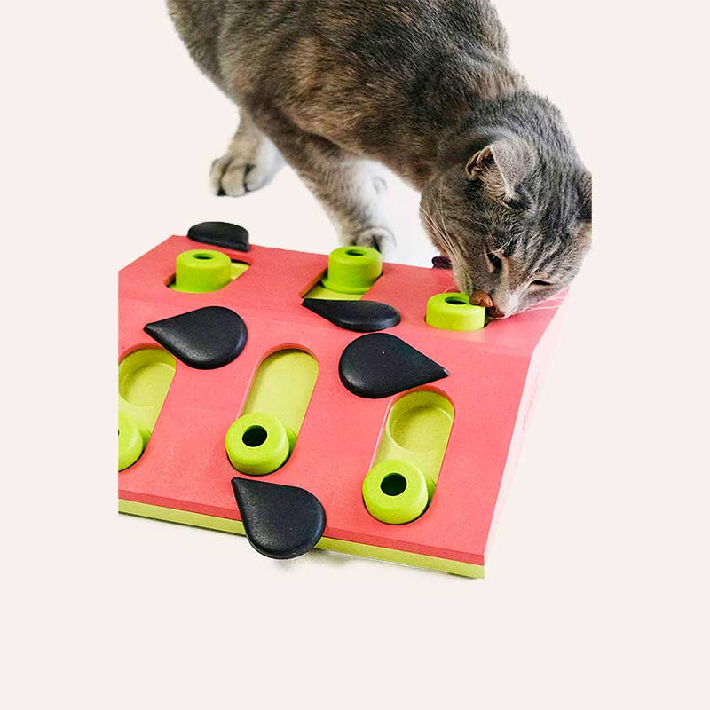 Інтерактивна іграшка для котів зі схованками для ласощів Nina Ottosson - Puzzle & Play Melon Madness