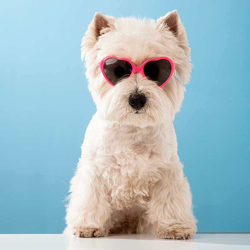 Сонцезахисні окуляри для домашніх тварин у формі серця - Pets Glasses pink