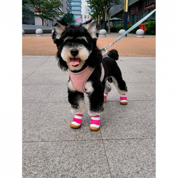 Черевики із сітки для собак - Breathable Pet Shoes, pink, S: 3.5х4 см