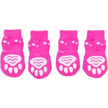 Шкарпетки малинові з ведмедиком 4 шт - Pet Socks, S: 2.5х6 см