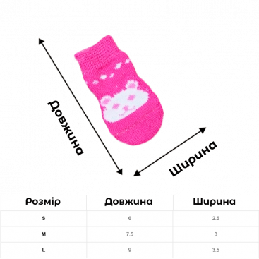Шкарпетки малинові з ведмедиком 4 шт - Pet Socks, M: 3х7,5 см