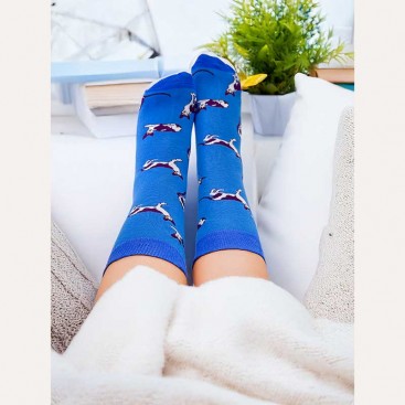 Шкарпетки зі сфінксом PlaySox - Sphinx cat, 36-39