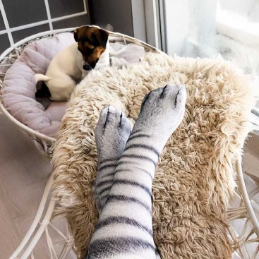 Шкарпетки з 3D принтом у вигляді котячих лапок Julia - Gray cat paw, 35-41