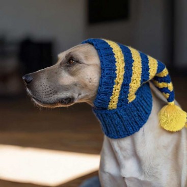 Шапка вязаная для собак Chouchou Pet - Blue&Yellow, L