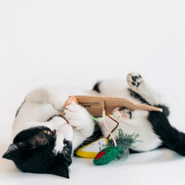 Игрушка для котов PetPlay - Feline Frenzy Charcuterie Board
