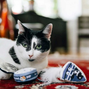 Игрушка для котов PetPlay - Feline Frenzy Cheese Board