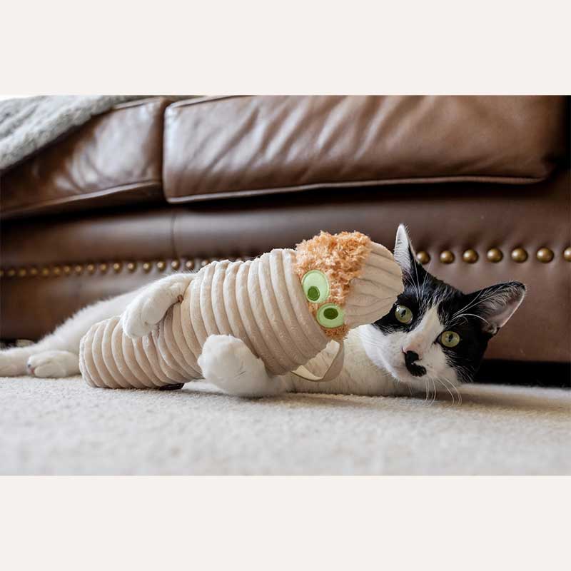 Іграшка для котів з котячою м’ятою, мумія Pet Play - Meow-my