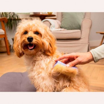 Щетка для распутывания шерсти собак и котов Pet Teezer - Mini Detangling & Grooming Lilac/Yellow
