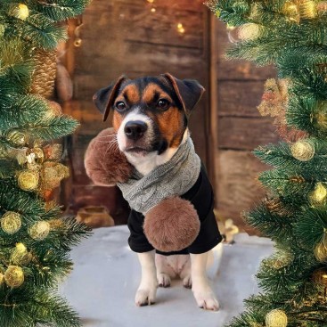 Комплект для собак шапка и шарф Christmas - Grey, one size