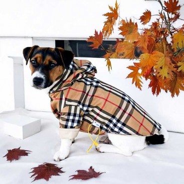 Двосторонній плащ для собак у стилі Burberry PetsIn - Two-sided coat, XL