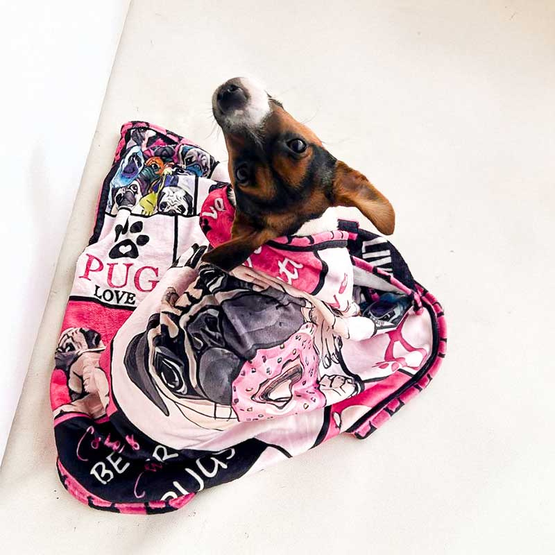 Фланелевый плед для собак Home Creative - Don't Pug with me, 70x100 см