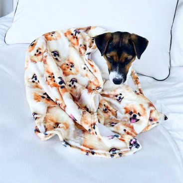 Фланелевий плед для тварин Home Creative - Cute Spitz, 75х100 см