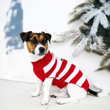 Свитер для собак красно-белая полоска с оленем PetsIn - Christmas Deer red&white, M