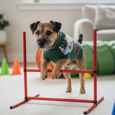 Свитер с имбирными пряниками и снеговиками PetsIn - Christmas Gingerbread & Snowmen green, M