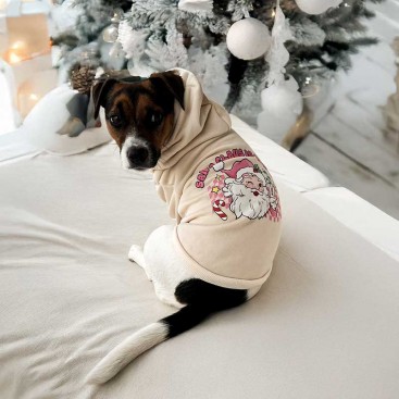 Худи для собак бежево-розовый PetsIn - Pink Santa, 3XL