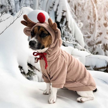 Худи оленя для собак PetsIn - Turn into a deer, L