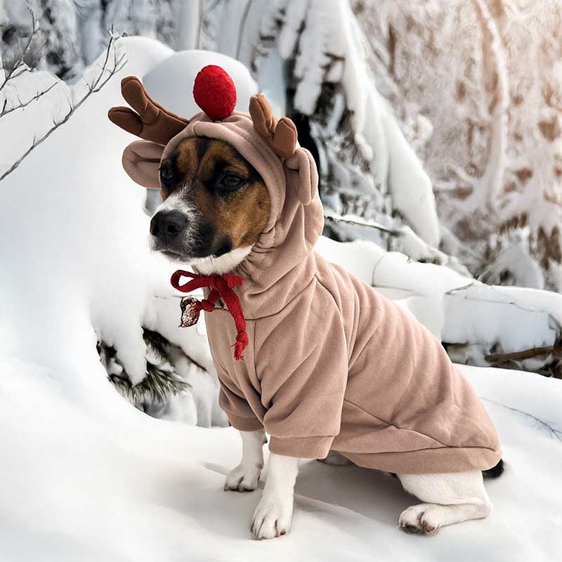 Худи оленя для собак PetsIn - Turn into a deer, L