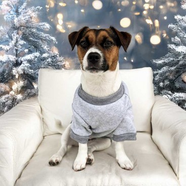 Свитшот для собак серый с красным оленем PetsIn - Red Deer, XL