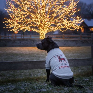 Свитшот для больших собак серый с красным оленем PetsIn - Red Deer, 3XL