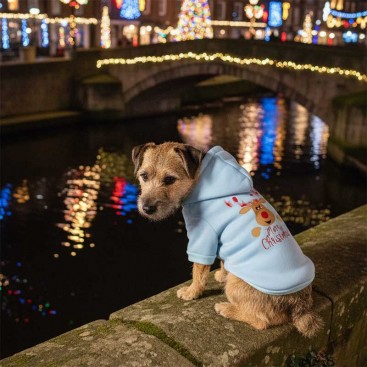 Свитшот для собак голубой PetsIn - Blue Deer, XL