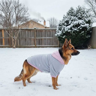 Худи для больших собак розово-серый Lemon Pet - Pinky Grey, 3XL