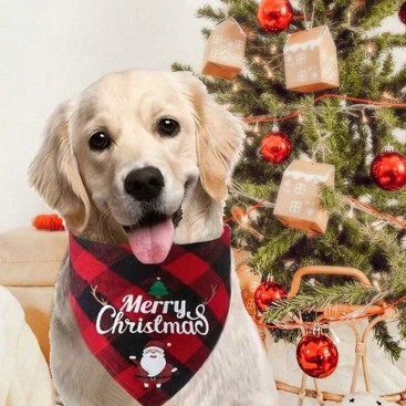 Рождественская бандана для собак PetsIn - English blanket