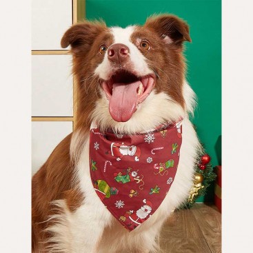 Різдвяна бандана для собак PetsIn - Santa sportsman, red