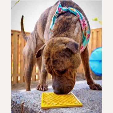 Силиконовый коврик для слизывания лакомства SodaPup - Honeycomb E-Mat, large yellow