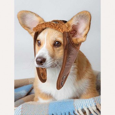 Шапка для собак Tail Up - Pet Pilot Cap, Khaki XL