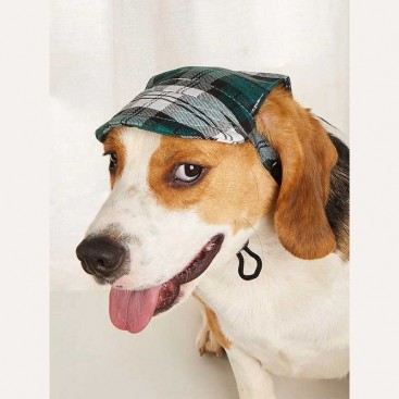 Кепка для собак у клітинку Tail Up  - Plaid Pet Cap, green L
