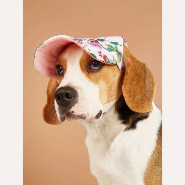 Кепка для собак Tail Up - Flower Print Dog Baseball Cap, XL
